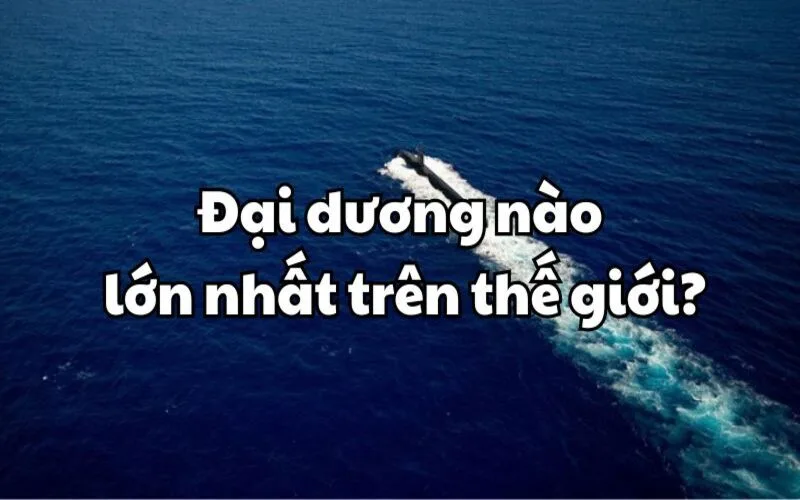 dai duong lon nhat the gioi la gi kham pha trai tim xanh cua hanh tinh