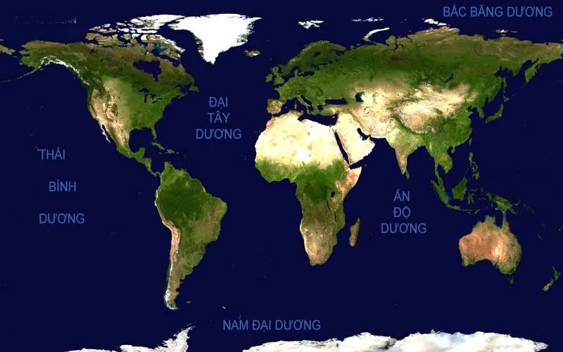 dai duong lon nhat the gioi la gi kham pha trai tim xanh cua hanh tinh