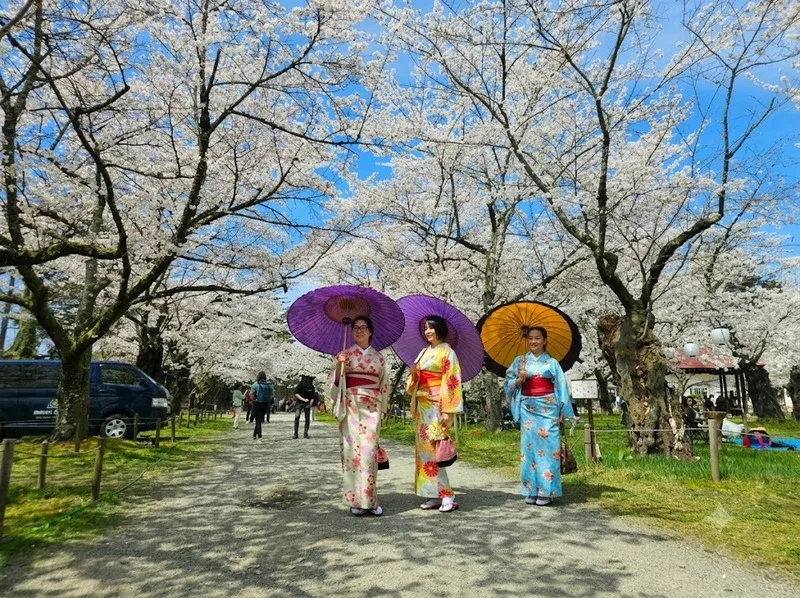 Trải nghiệm kimono đúng cách giúp hiểu sâu hơn văn hóa Nhật Bản